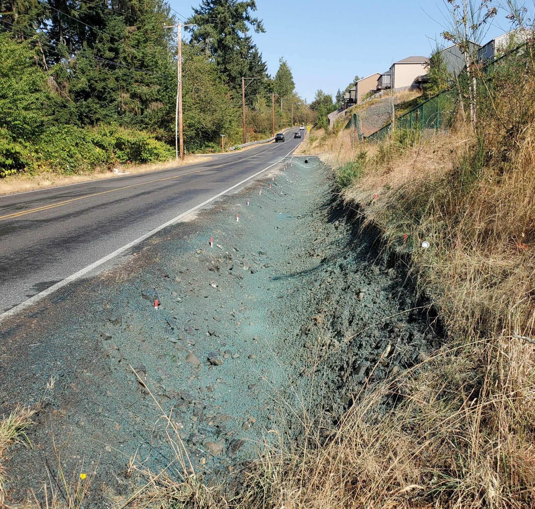 Roadside ditch covered in blue hydroseed