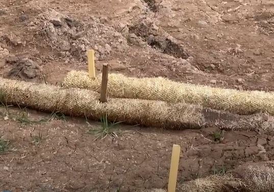Overlapping straw wattles with wooden stakes attached through the center